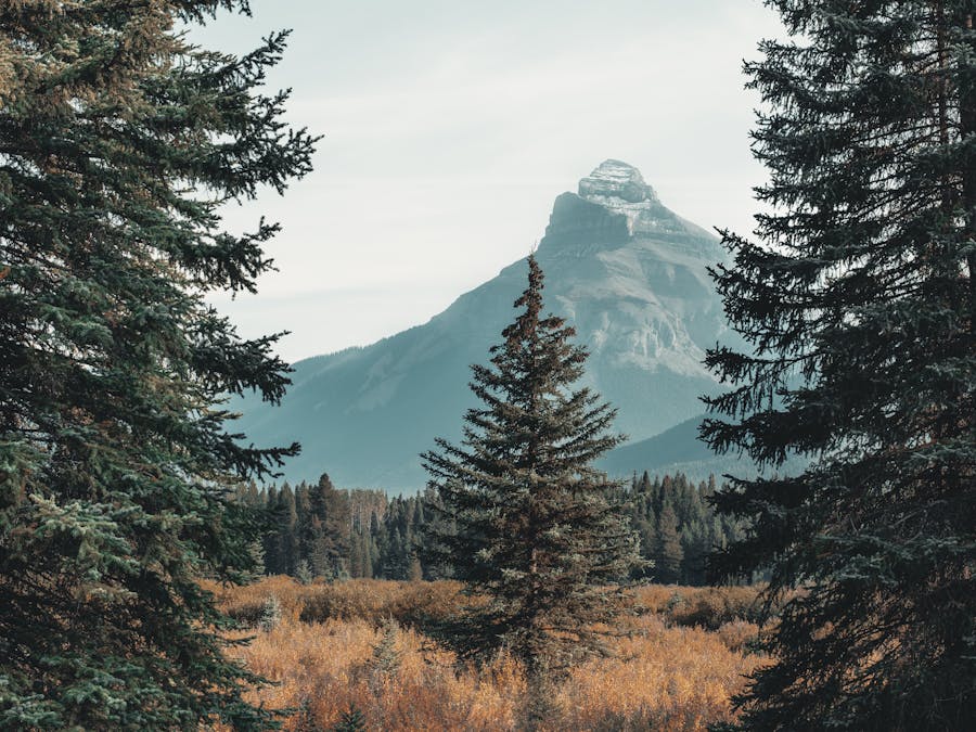 How much does 1billion views on YouTube pay?