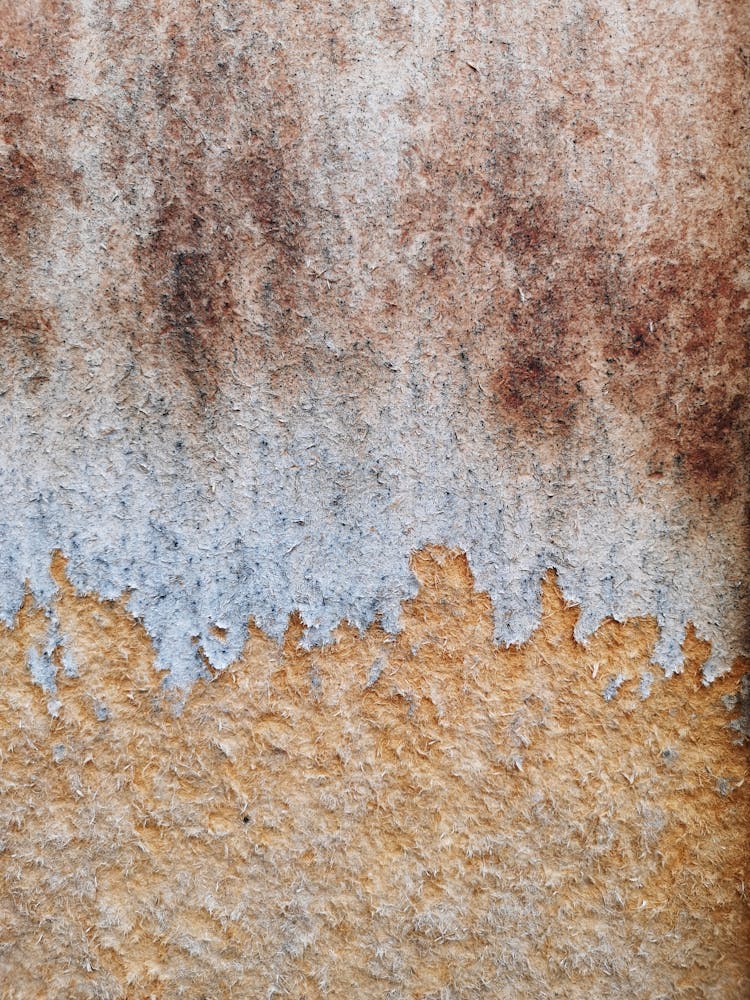 Close Up Photo Of Dirty Wood With Paint Peeling Off