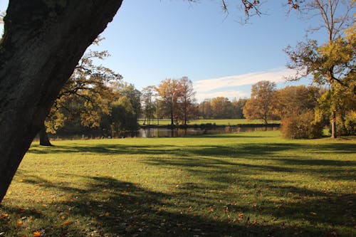 Kostenloses Stock Foto zu bäume im herbst, blauer himmel, farben des herbstes