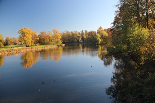 Kostenloses Stock Foto zu bäume im herbst, blauer see, farben des herbstes