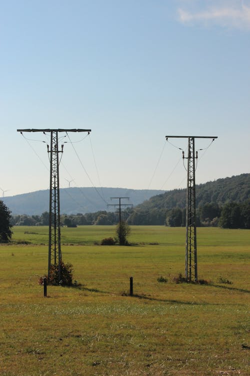 Kostenloses Stock Foto zu außerorts, bäume, co2-fußabdruck