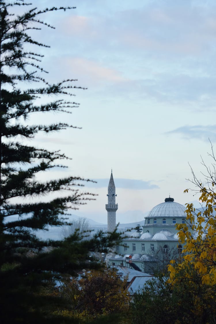 View Of Sultan Suleiman Mosque