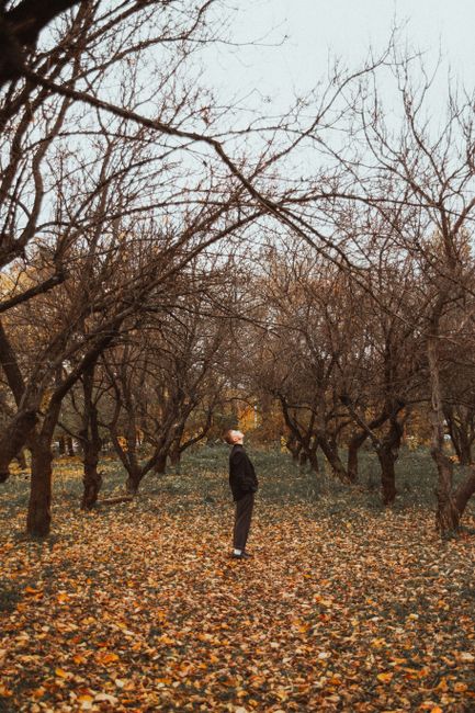 A man standing among leafless trees in an autumn park, looking upwards amid fallen leaves.