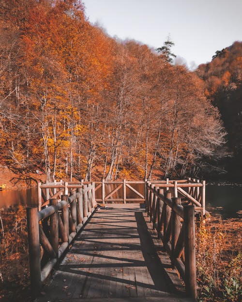 Immagine gratuita di laghi, lago, moli