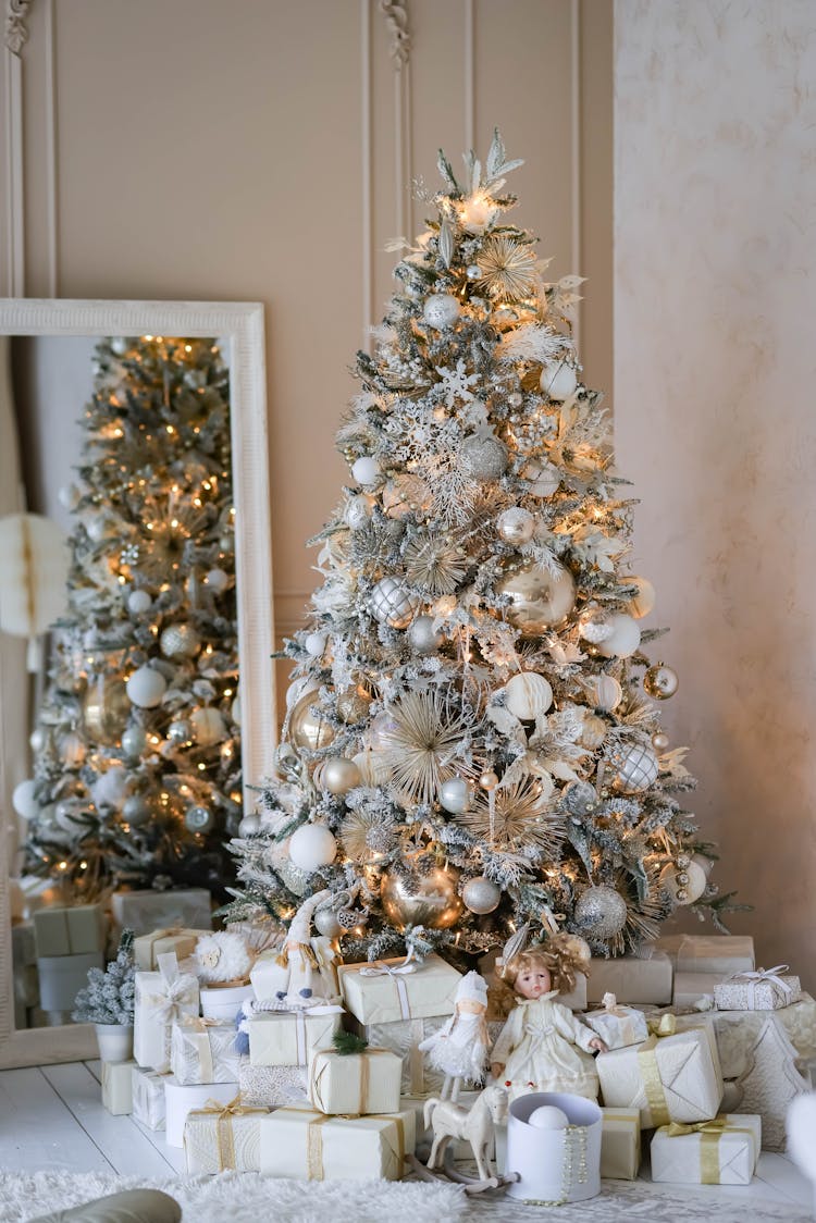 Christmas Tree, Boxes And Mirror