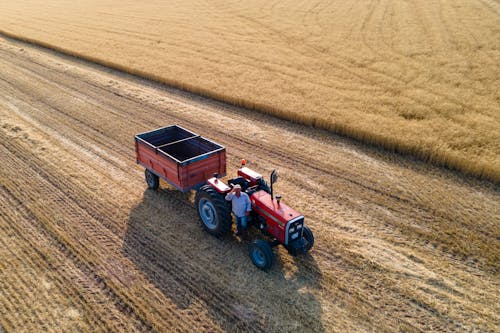 Farmer Standing by Tractor with Trailer on Field