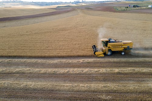 Combine Harvester Working in a Field 
