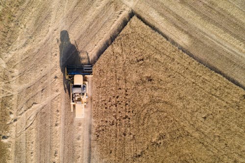 Top View of a Combine Harvester Working on a Field 