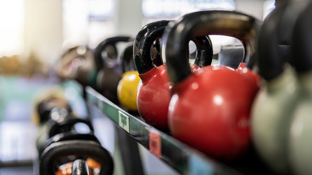 Close-up of colorful kettlebells on a rack in a modern gym indoors.