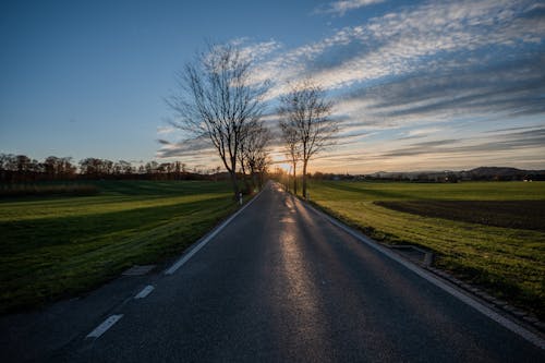 Asphalt Road Between Grass Fields