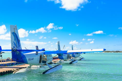 Trois Avions Amphibies Bleu Et Blanc