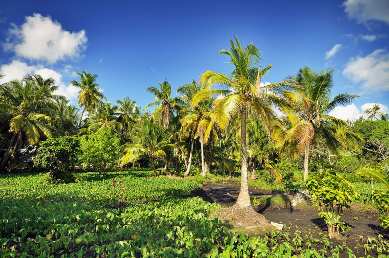 Barbados shoreline