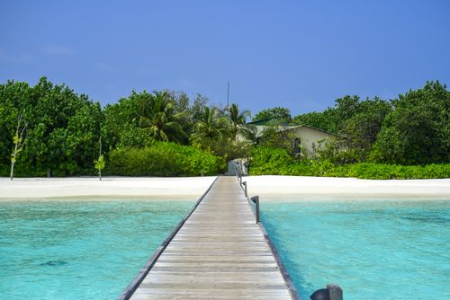 Free Scenic beach with a wooden walkway extending to lush greenery and palm trees. Stock Photo