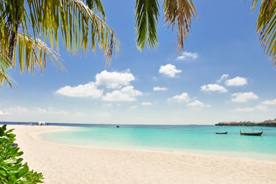 Tropical paradise