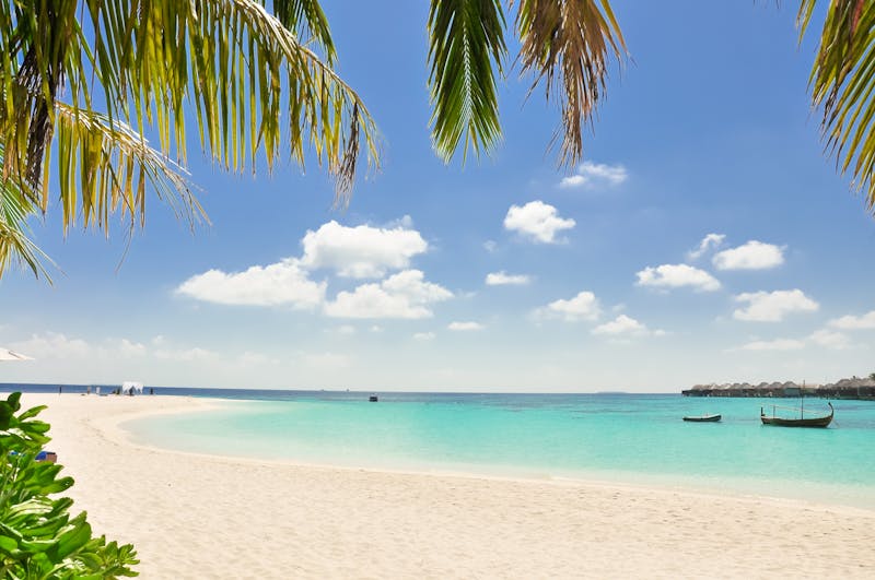Luxury Beach Resort