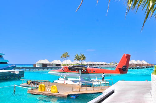 White and Red Seaplane on Body of Water