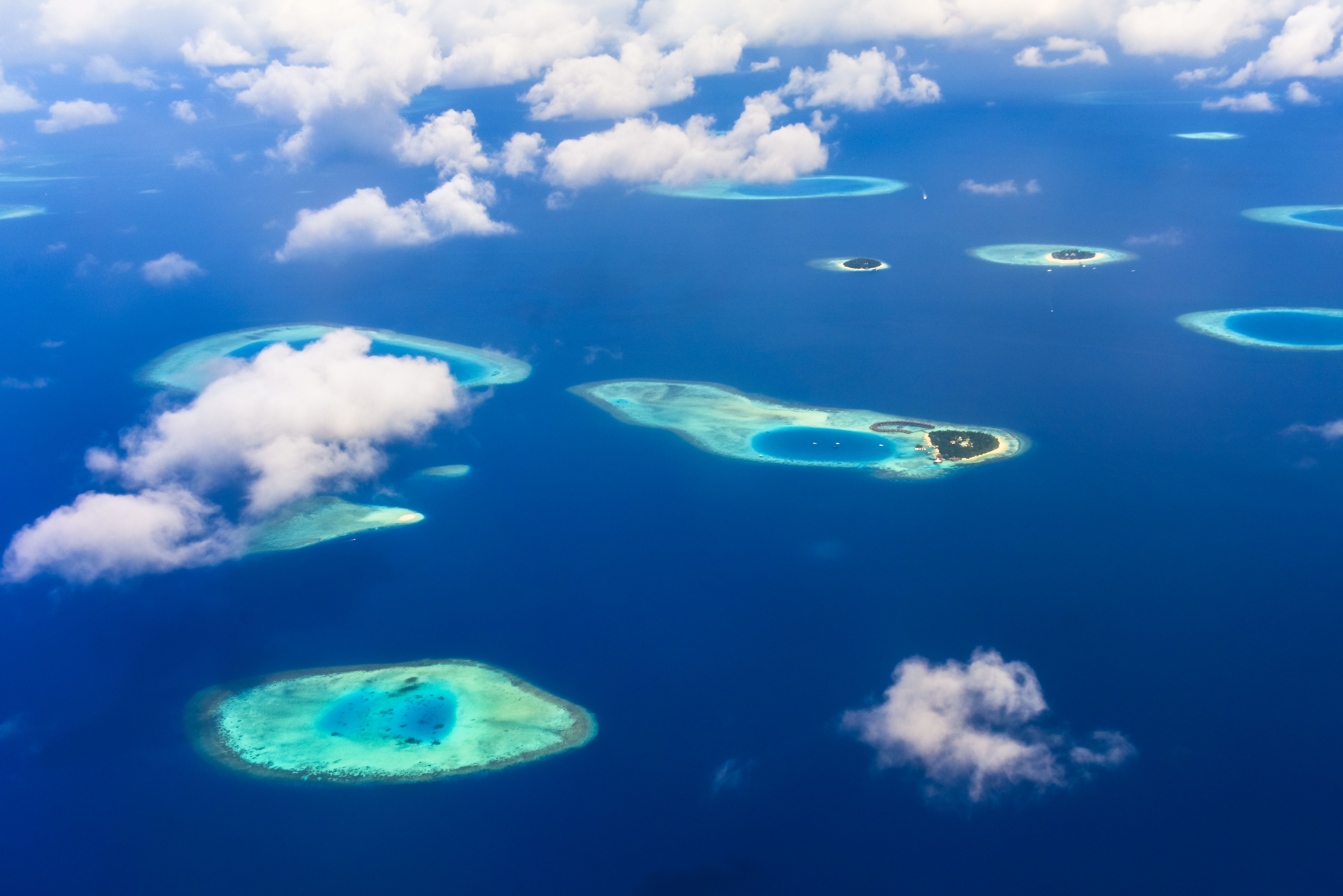 Quand plonger aux Maldives ?
