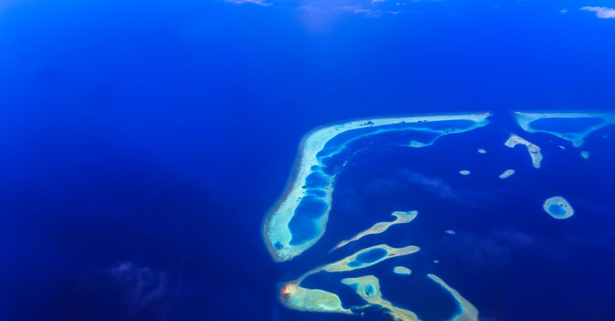 Havelock Island Travel Guide 2026: Beaches, Diving and Getting There