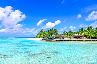 Tropical Paradise