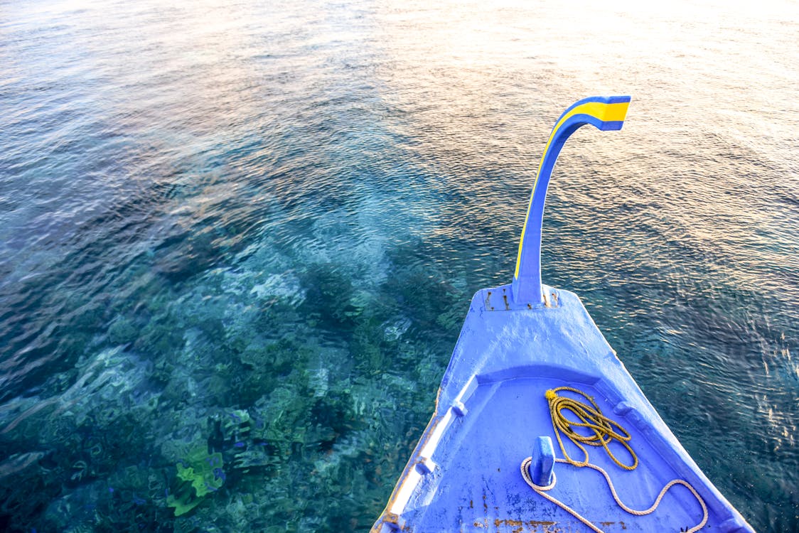 Purple Boat on Body of Water