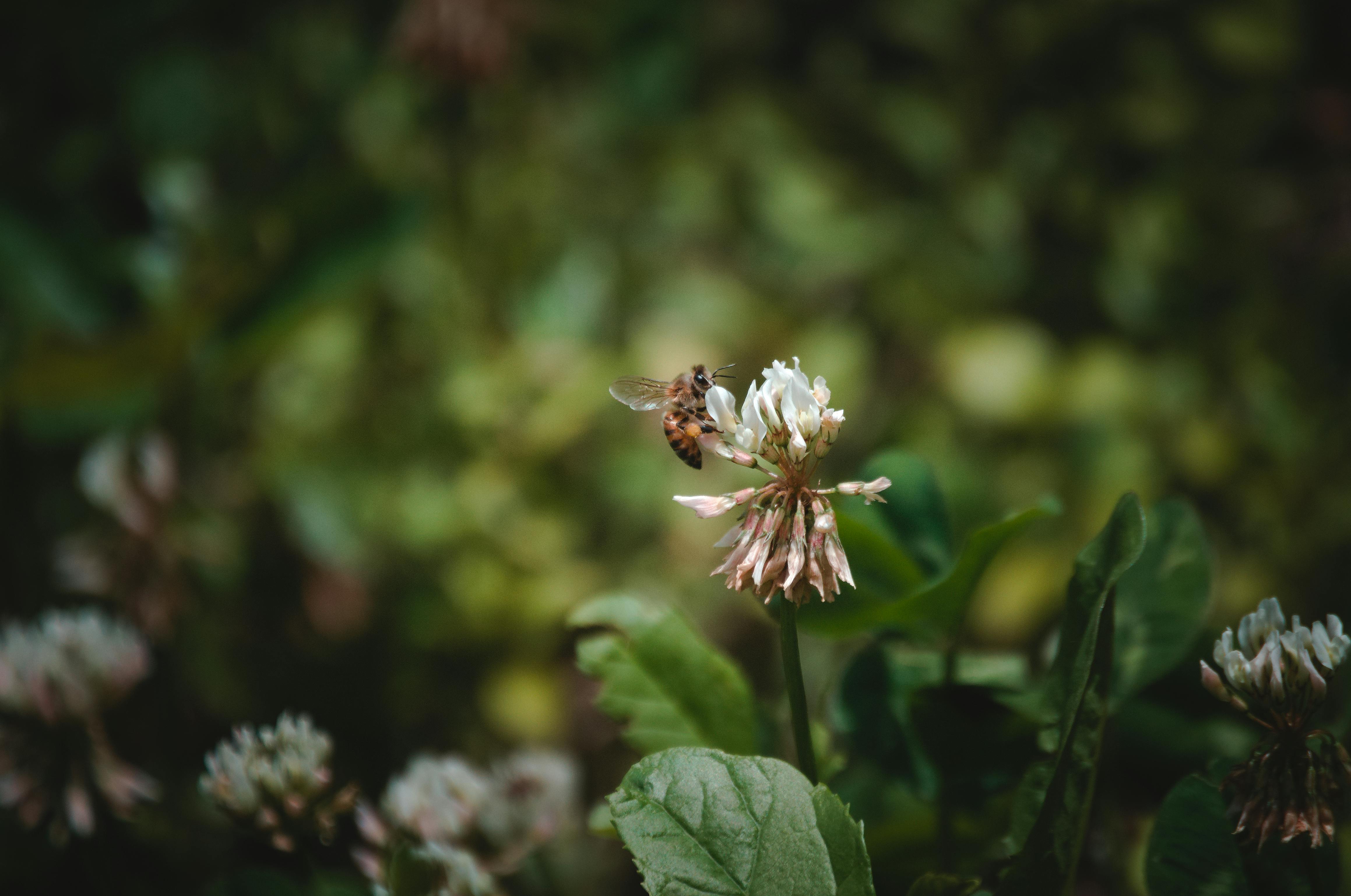 Ark Valley Civics Bee Competition to Send Three Local Students to State — Photo by Linken Van Zyl on Pexels