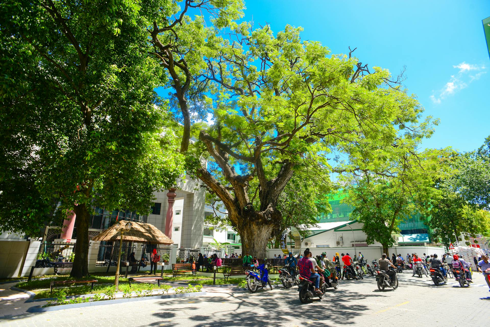 Bustling city park with people, motorbikes, and lush green trees on a sunny day.