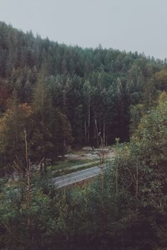 View of a lush mountain forest with a winding road, perfect for nature and travel enthusiasts.