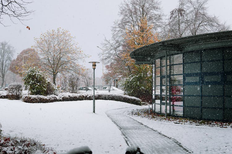 Park In Winter