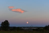 宁静的夜晚，月出东方，天空柔和，树木的轮廓依稀可见