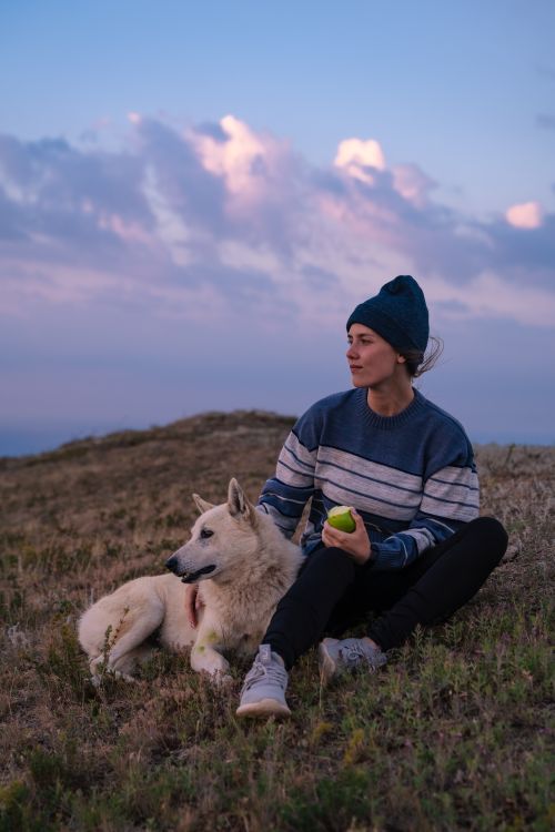Free A serene moment of relaxation as a woman and her dog enjoy the sunset in a scenic field. Stock Photo