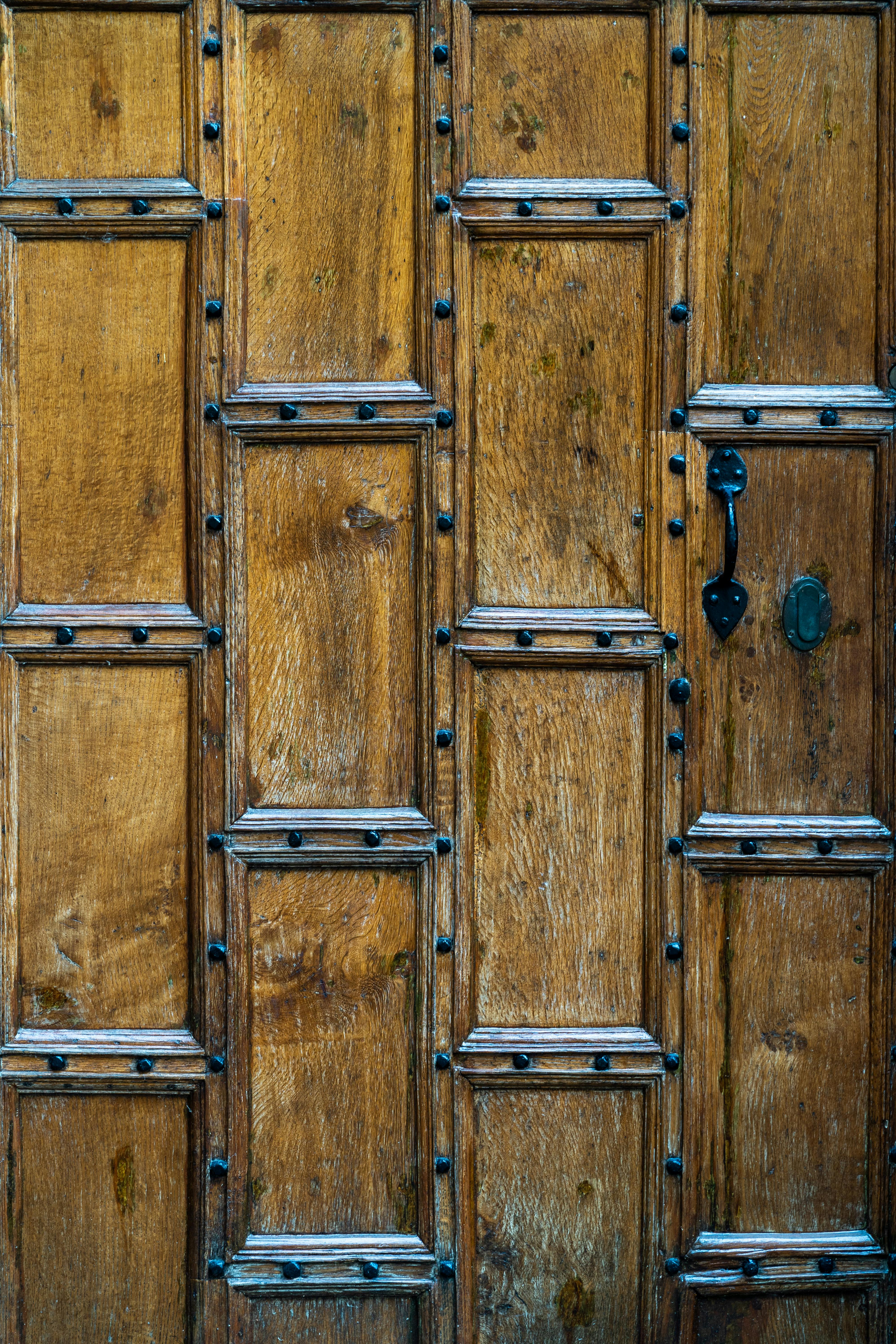 Basic English Usage [Oxford]