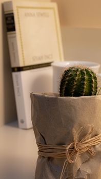 Stylish cactus in a paper-wrapped pot beside minimalistic books on a shelf.