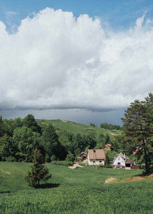 リトアニア, 丘, 垂直ショットの無料の写真素材