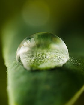 Extreme close-up of a pristine water droplet resting on a vibrant green leaf, showcasing nature's beauty.