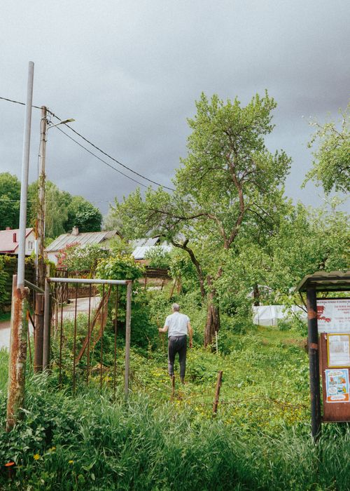 Free A senior man walking down a lush green path in a rural village with cloudy skies. Stock Photo