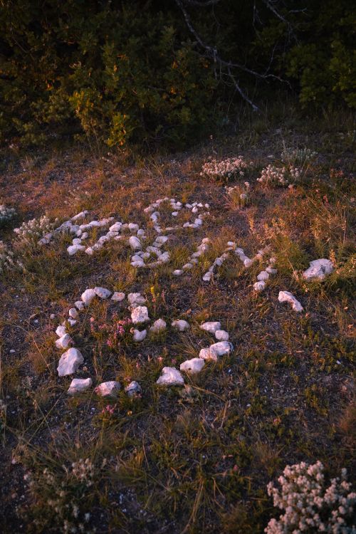 Free Heart shape and inscription made of stones on grass in natural setting. Stock Photo