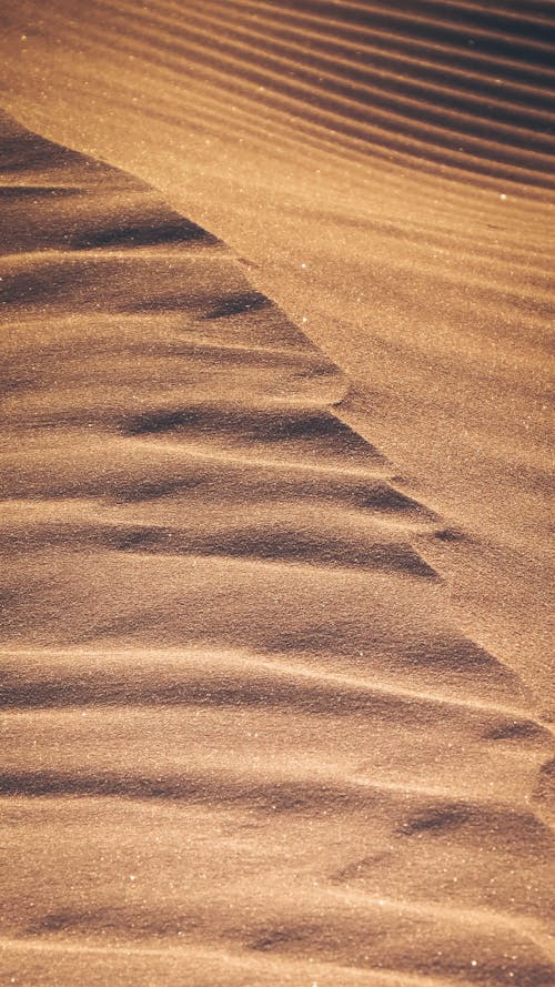 Close-up of a Sand Dune in a Desert 