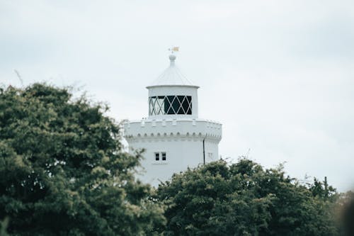 Foto profissional grátis de água, ao ar livre, arbusto