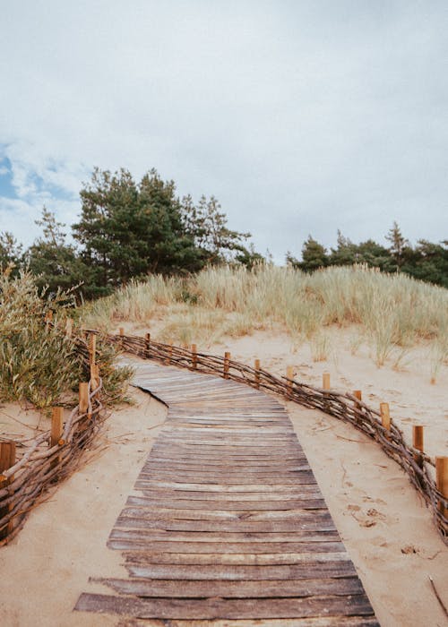 Free A Wooden Path at a Beach in Lithuania Stock Photo