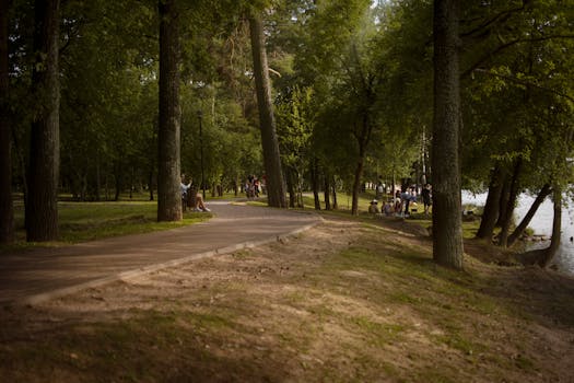 Serene park view with a walkway surrounded by trees in Minsk, Belarus.