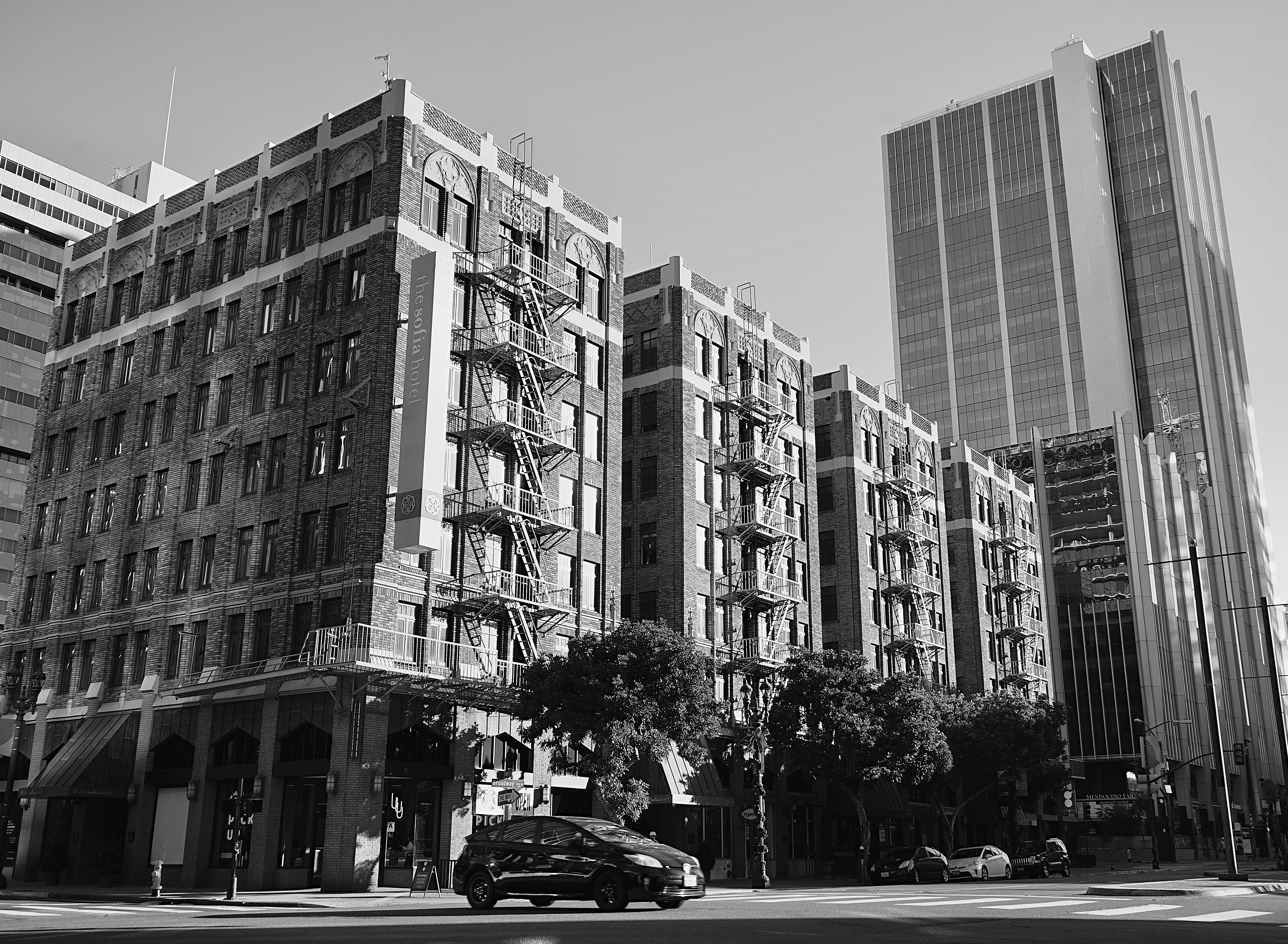 civic life examples civic life definition — Photo by Tarcio Lopes on Pexels