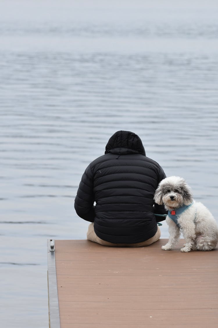 Back View Of A Person Sitting Near A Dog