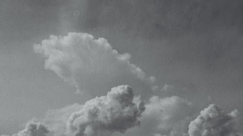 Gratis stockfoto met cloudscape, fluffig, grayscale
