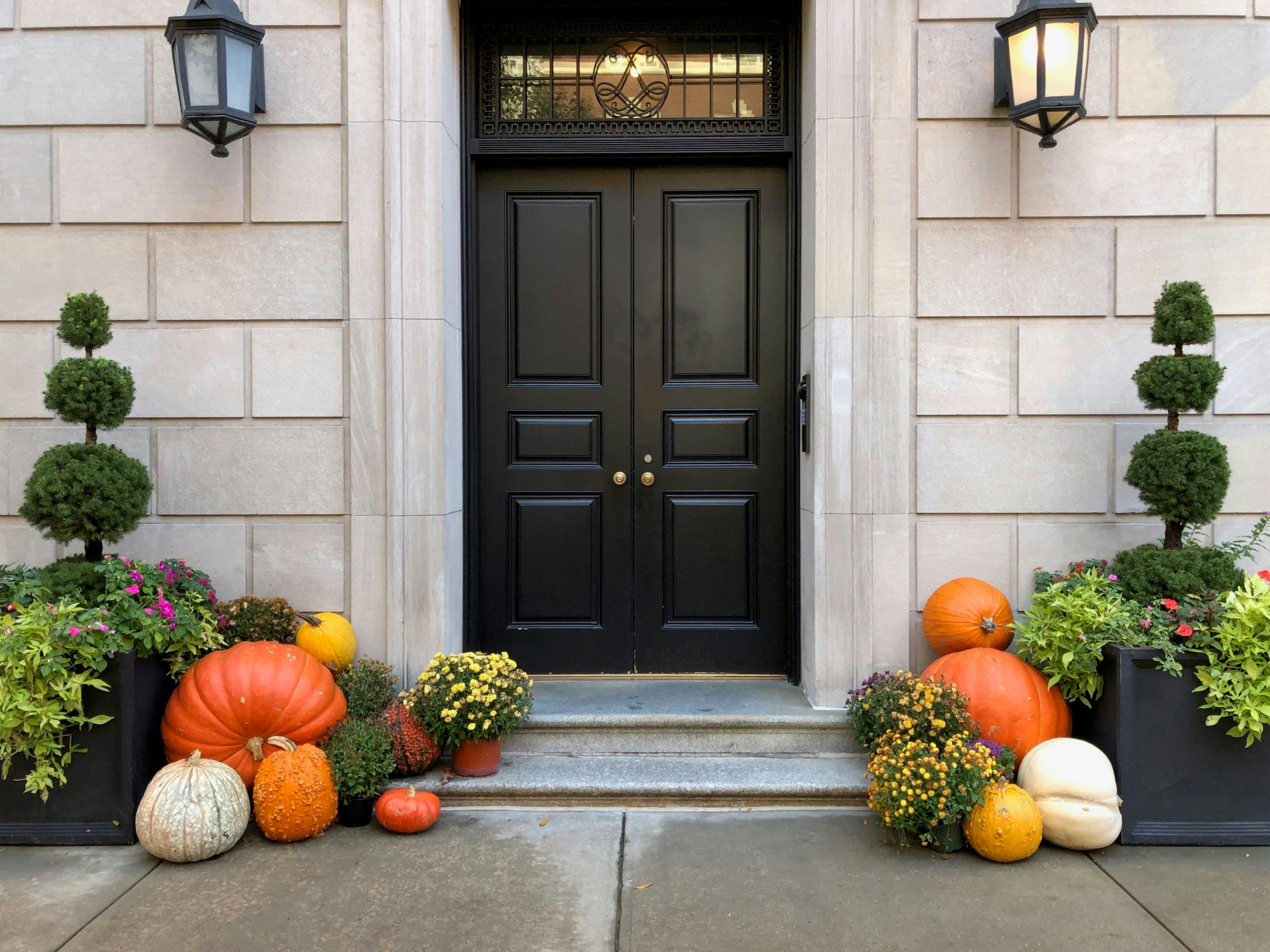 orange pumpkins on gray concrete floor