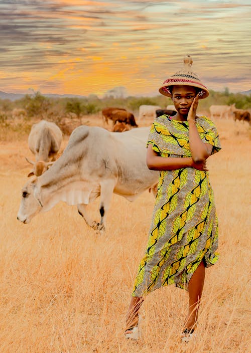 Foto stok gratis Afrika, anak-anak afrika, berani