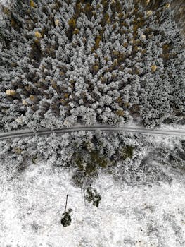 Drone view of a snowy forest in Ilmenau, Germany, showcasing a serene winter landscape.