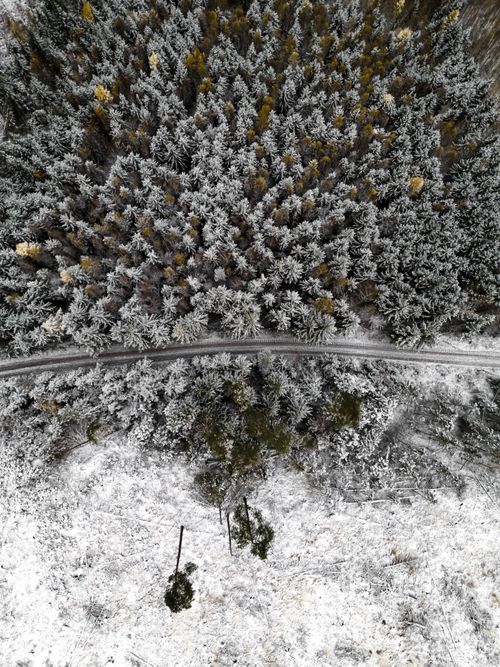 Free Drone view of a snowy forest in Ilmenau, Germany, showcasing a serene winter landscape. Stock Photo
