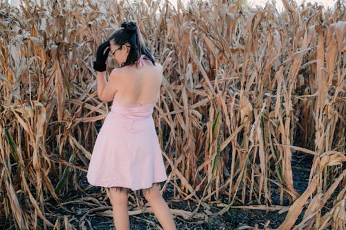 Free stock photo of beauty, butt, corn