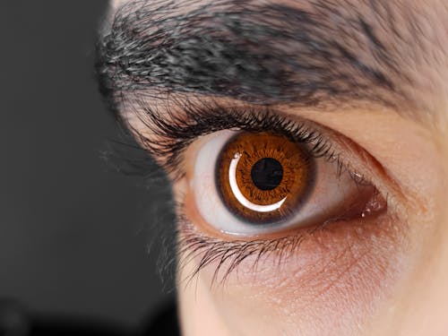 A Close-up Shot of a Person with Brown Eye