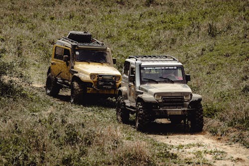 Foto d'estoc gratuïta de aventura, camí de carro, cotxes de terra